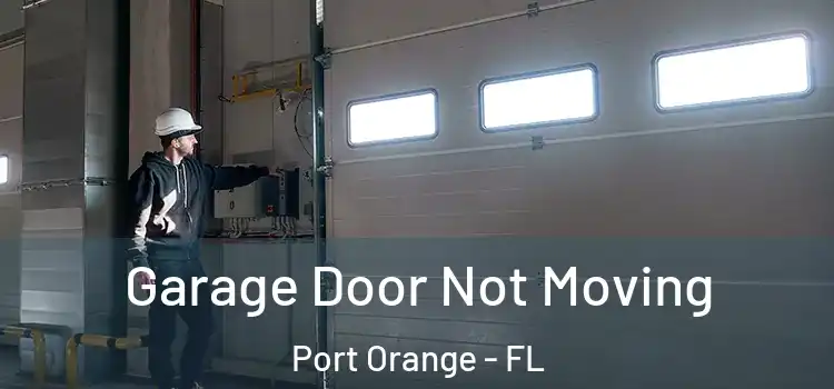  Garage Door Not Moving Port Orange - FL