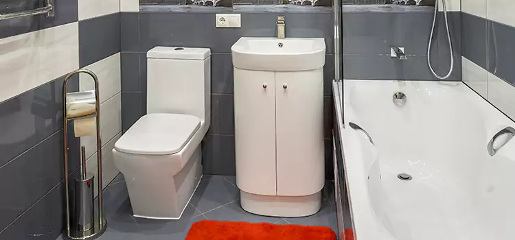 Hansgrohe Shaving Mirror Port Orange